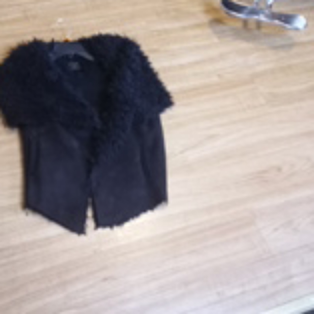 Vest